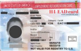 H-4 EAD (Employment Authorization Document). Photo: courtesy Neha Mahajan